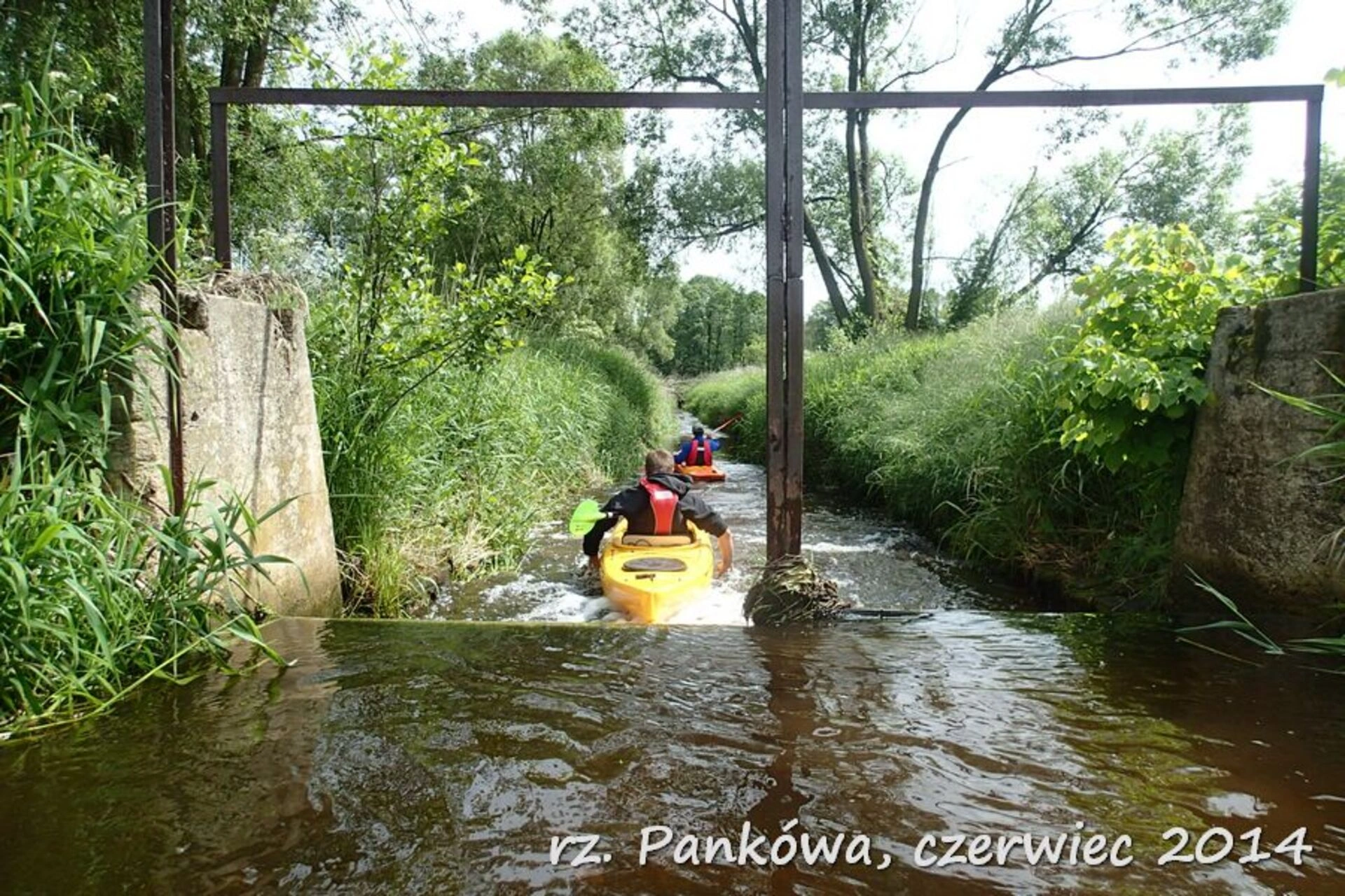 Kajaki Pankówka
